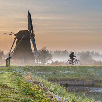 Cyclist in early morning landscape